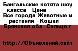 Бангальские котята шоу класса › Цена ­ 25 000 - Все города Животные и растения » Кошки   . Брянская обл.,Сельцо г.